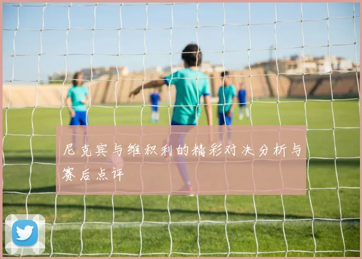 尼克宾与维积利的精彩对决分析与赛后点评