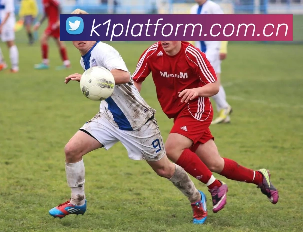 K1体育APP 高清赛事图